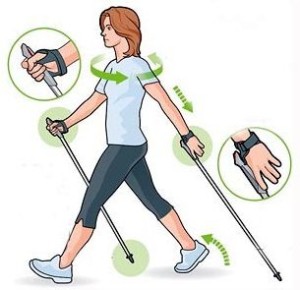 nordic walking is the path to health 609bd4165a15e